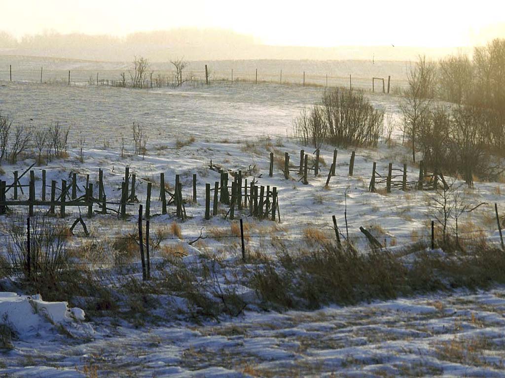 Prairie Winter Day
