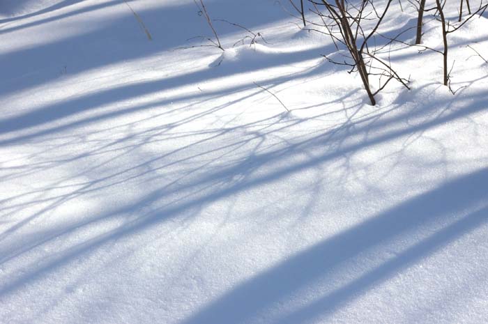 Shadows on snow #2