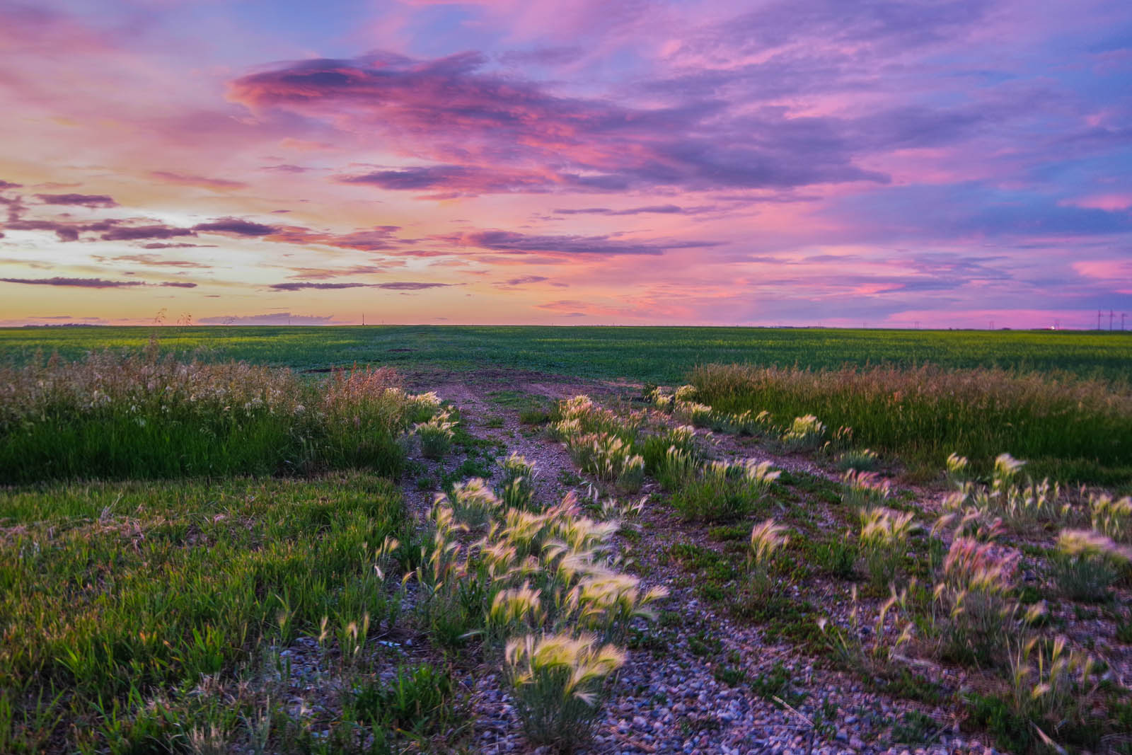 Summer Sunset